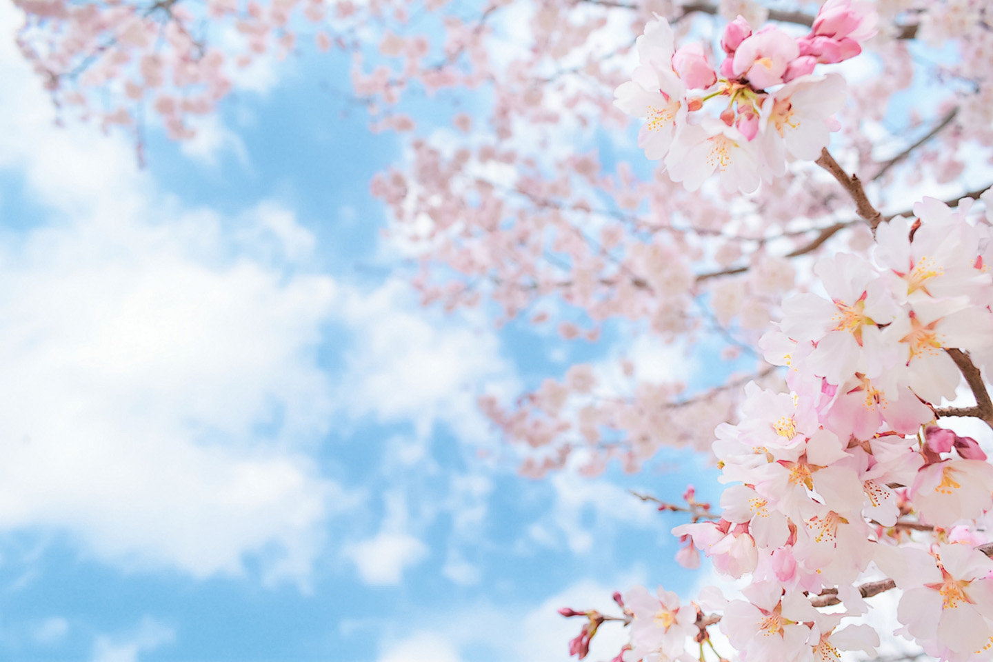 開院1周年の御礼