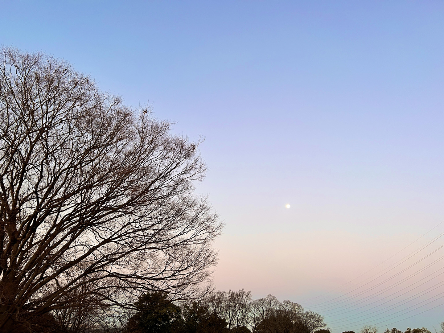 インフルエンザ予防接種・新型コロナワクチン接種につきまして