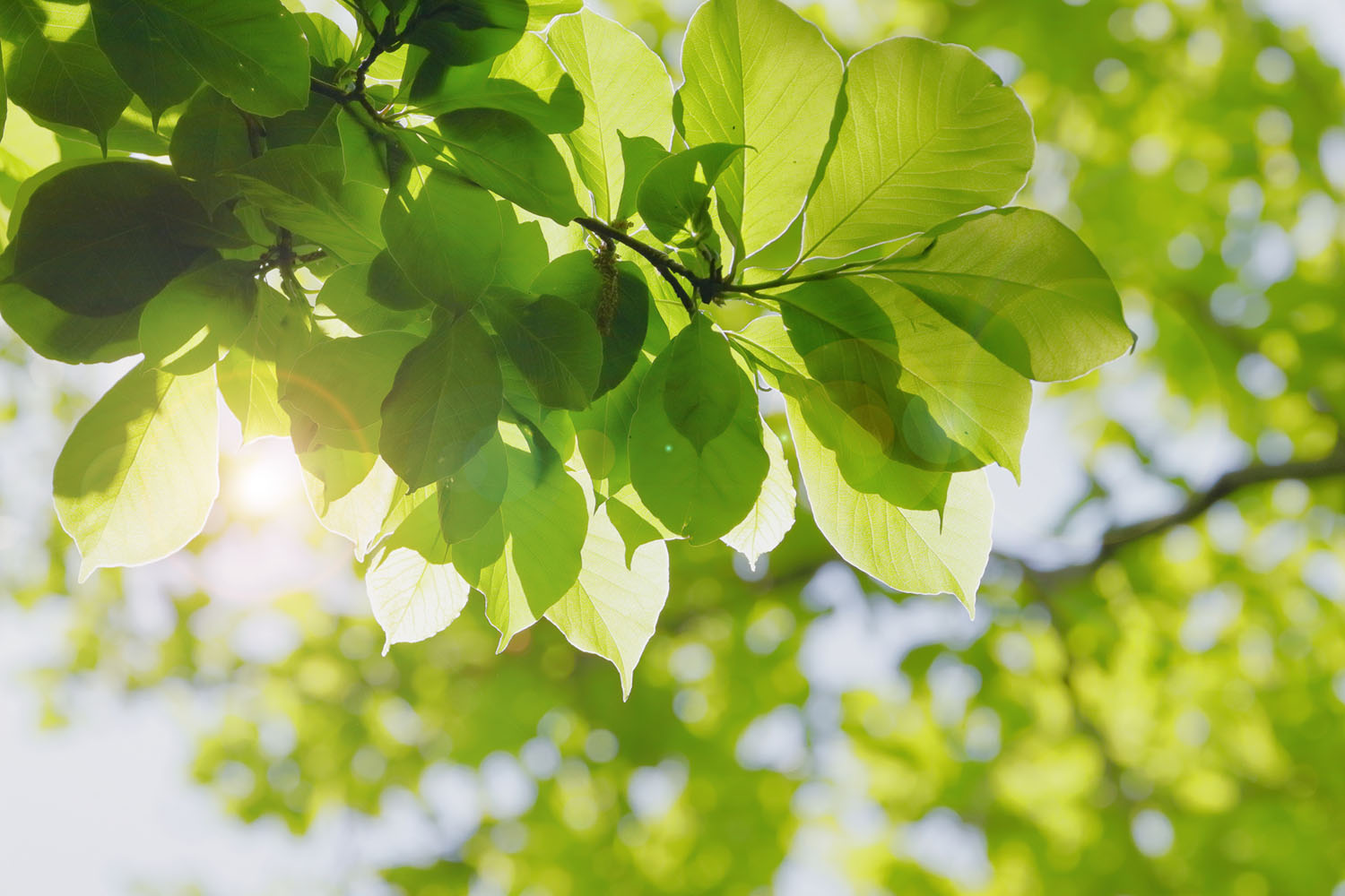 常勤医師の募集